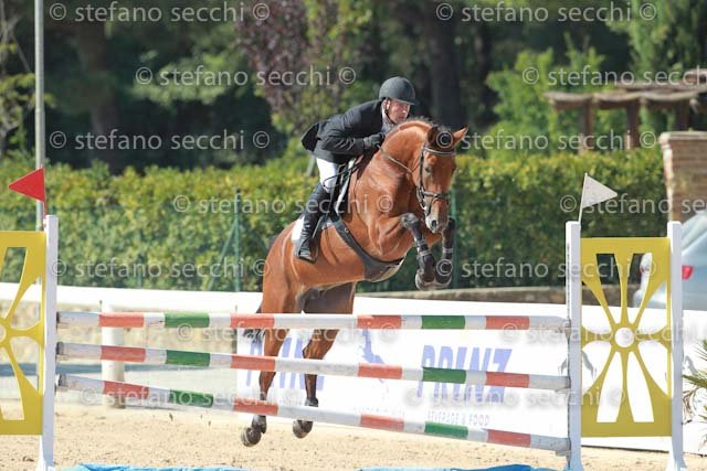 MENEGHEL_APLUX_GIO CAV 2011_SS3_6960.jpg